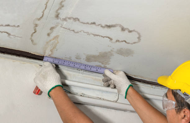 Affordable Basement Flood Cleanup solutions in Mount Hamilton, CA
